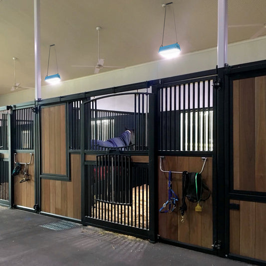 Stable Light V3 (App)