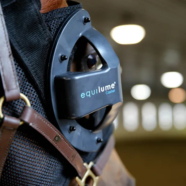 Cashel Light Mask - Pony