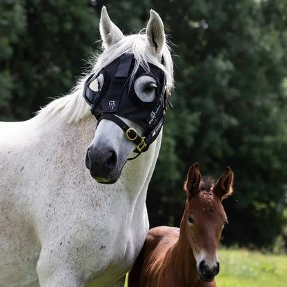 Curragh Light Mask