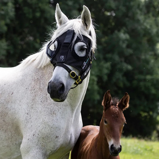 Equilume Mask Headpiece