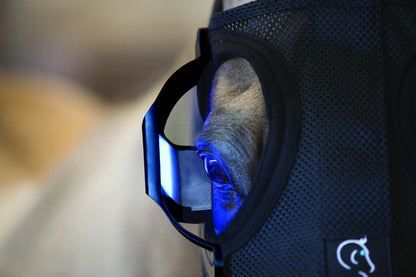 Belfield Light Mask