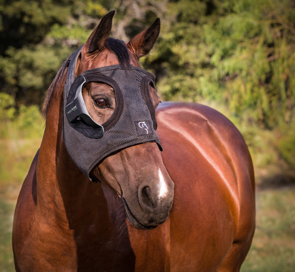 Belfield Light Mask | Ideal for Breeding Horses – EQUILUME Australia ...