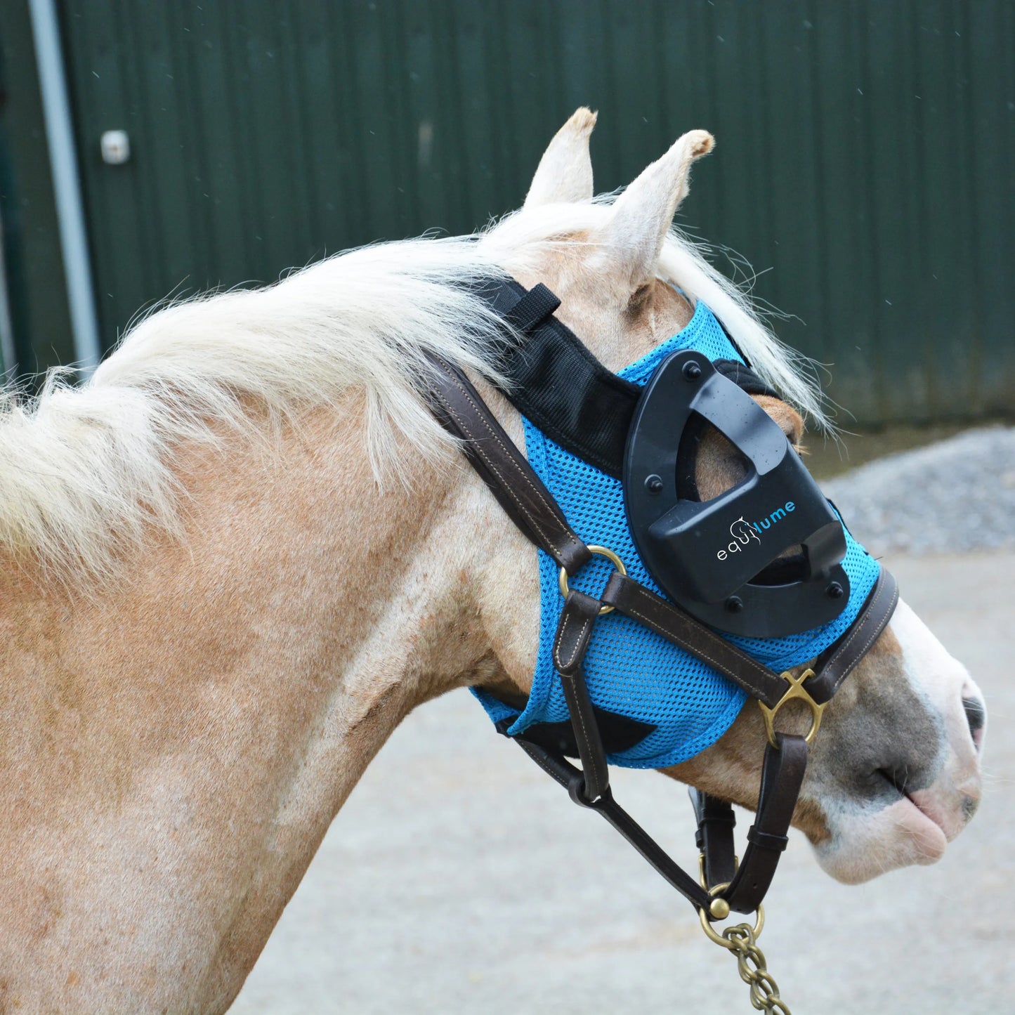 Pony Cashel Replaceable Cup