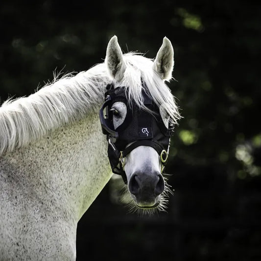 Curragh Light Mask