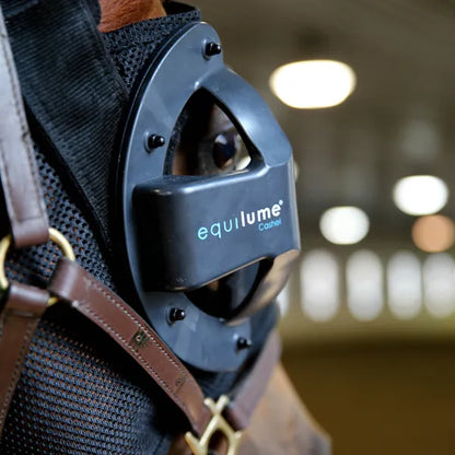 Cashel Light Mask - Pony