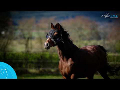 Curragh Light Mask